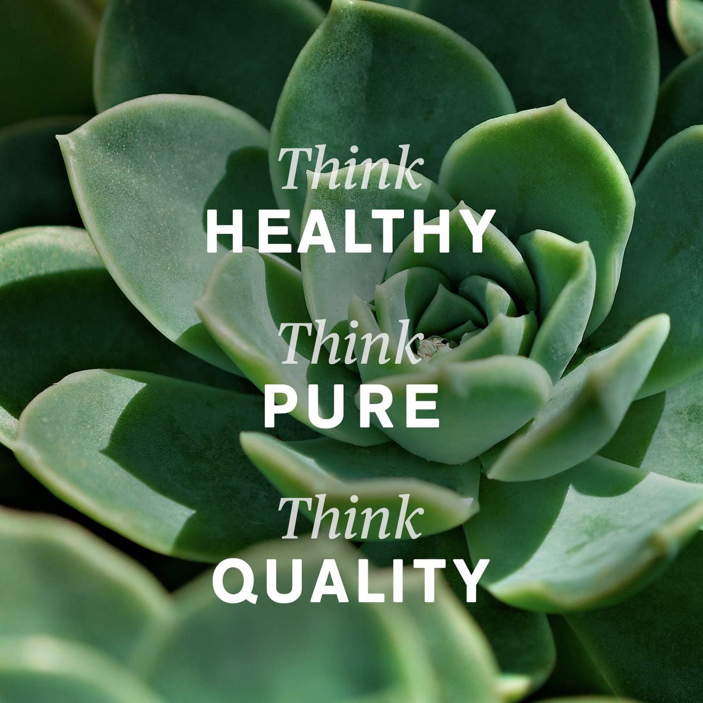 VitaDrain – Advanced Herbal Detox & Bloat Relief